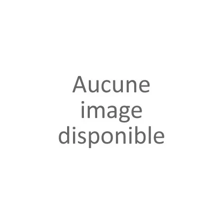 Ceinture femme coloris noire