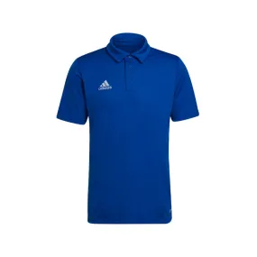 Polo homme Adidas Entrada 22 coloris bleu royal